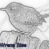 Wrens Rise